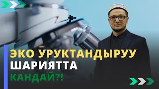 Эко уруктандыруу шариятта кандай?! | устаз Эмильбек Андартегин