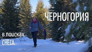 в ЧЕРНОГОРИЮ в поисках снега. зимний хайк в парке Дурмитор. Чёрное озеро.