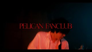 Download Lagu PELICAN FANCLUB 三原色 Music... MP3 Gratis