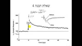 תרגיל 7  סינפסות למתקדמים שאלה 4