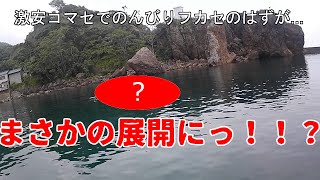 【ふかせ釣り】激安コマセで釣りしたらまさかの展開！？【越前海岸】