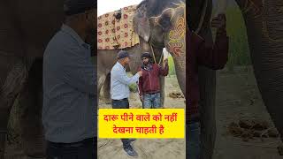 दारू पीने वाले को हाथी नहीं देखना चाहती है #viralhathi #youtubeshorts #viralvideo #shorts #trending