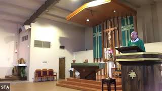 常年期第二主日 粵語彌撒 講道重溫 2nd Ordinary Sunday Homily Recap in Cantonese at St. Thomas Aquinas #天主教 #講道 #粵語