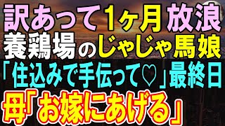 【感動する話】独身炭焼き職人の俺。管理する山が継続困難に…１ヶ月間の旅に出ると人手不足の養鶏場の母娘「住み込みで働いてみる？」俺が１ヶ月間、住み込みで働いた結果…【いい話・泣ける話・朗読】