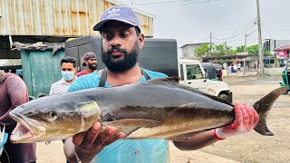 Amazing Cobia Fish Cutting Skills | Cobia Fish Cutting