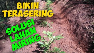 Bikin terasering solusi lahan miring