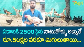 Benefits of Natu Kollu Farming | ఏడాదికి 2500 నాటుకోళ్ళు అమ్మితే రూ.5లక్షలు మిగులుతాయి..! Tone Agri