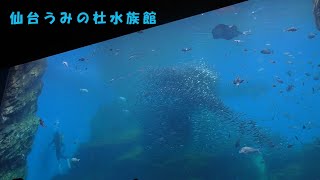 【うみの杜水族館】大水槽