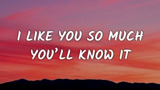 Aviwkila - I Like You so Much, You’ll Know It (Lyrics)