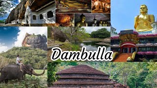 On the way to Dambulla | Travel to Dambulla | දඹුල්ලේ යන ගමන් #14