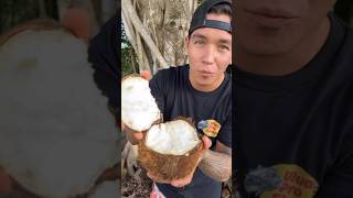 Special Tool to Open Coconuts 🥥