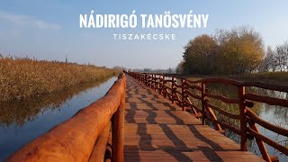 PALLÓS TANÖSVÉNYEK Sorozat 1. rész - NÁDIRIGÓ TANÖSVÉNY Tiszakécskén