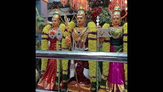 Murugan avan alagan #tamil #song #godmuruga #murugamuruga #godmurugansongs