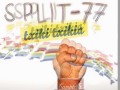 split 77