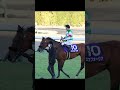 2021年有馬記念を写真で振り返ろう 競馬 有馬記念 エフフォーリア horseracing shorts shortvideo