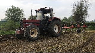 CASE IH 1255 XL INTERNATIONALE , LABOUR SEIGLE 2019