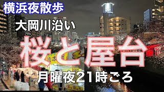 【横浜夜散歩】大岡川沿いの桜と夜屋台 平日夜21時ごろの様子