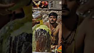 Jai ho bhole 🙏🙏♥️♥️ #video #religion #viralreels #musicapp #reelsindia #viralvideo #army  #viral