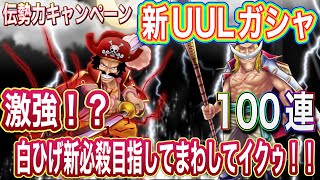 【サウスト】白ひげ 新UULガシャ100連‼️ 〜白ひげが激強⁉️ガシャぶん回します✌️〜