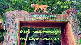 പറമ്പിക്കുളം ടൈഗർ റിസേർവ് | 4K Parambikulam tiger reserve parambikulam #tiger #parambikulam