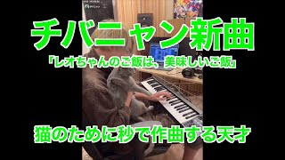 【チバニャンライブ】猫のために秒で作曲してしまう天才【レペゼンフォックス】