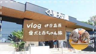 【vlog 旅行】犬と旅行伊豆#1愛犬の駅/海鮮丼ランチおすすめスポット♪