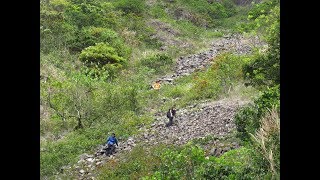 2018-04-05 巨壩石澗、彎曲坑、半坳嶺南崖、馬大石澗