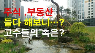 주식과 부동산 투자 재테크 차이..그리고 고수들의 촉은?