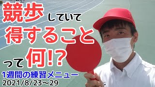 【競歩はウォーキングの最高峰】肩こり・腰痛も無くなった！とある1週間の練習メニューをまとめて公開！