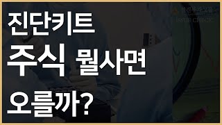 [진단키트] 주식 뭘사면 오를까? - 선진투자그룹