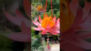 DIY Lotus Lantern / DIY Diwali Lantern / Diwali Decoration / Lotus Hanging / DIY Wall Hanging / DIY