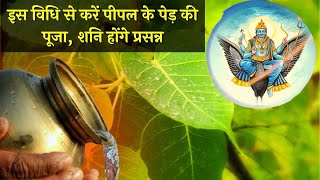 शनि के कष्ट दूर करेगा पीपल का पेड़, जानें कैसे करें पूजा? | Peepal Puja Vidhi | Jai Shani dev | upay