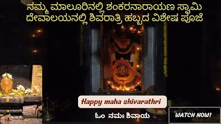 ನಮ್ಮ ಮಾಲೂರಿನ ಶಂಕರನಾರಾಯಣ ಸ್ವಾಮಿ ದೇವಾಲಯನಲ್ಲಿ ಶಿವರಾತ್ರಿ ಹಬ್ಬದ ವಿಶೇಷ ಪೂಜೆ ಹಲಂಕಾರ