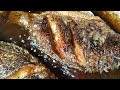 asmr#crispy fry tilapia#satisfying sounds#tilapia short