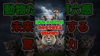 動物たちの第六感 未来を予知する驚異の能力 #動物の第六感 #自然界のミステリー #未来予知