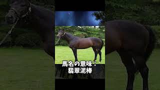 名前の響きがカッコいい馬　その2＃Shorts