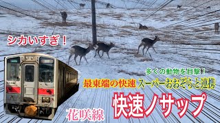 最東端の快速・ノサップ乗車記　冬の花咲線はマジで面白い！/釧路→根室【納沙布岬】【東根室駅】(北海道Fパス#08)