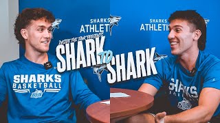 Shark To Shark: Men's Basketball Edition