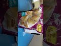 viral onlineshopping amazon samosa minisasosa haldiram snacks food foodproducts murukku