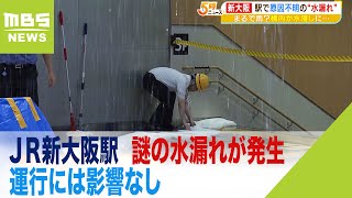 ＪＲ新大阪駅で『天井から激しく流れ出る水…』謎の水漏れが発生　運行には影響なし（2023年6月29日）