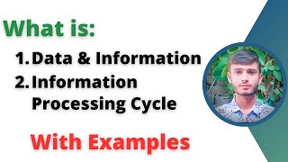 Data and Information with Examples | Information Processing Cycle with Examples Examples