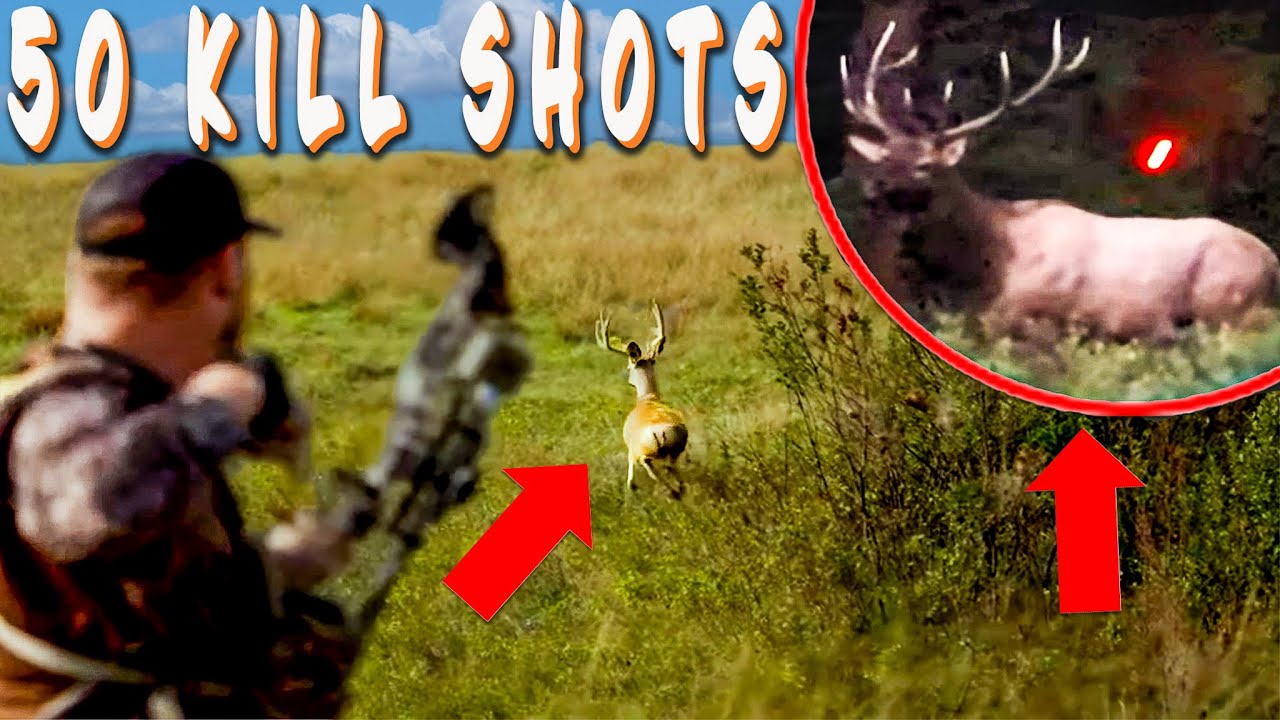 TOP 50 KILL SHOTS On YouTube! ELK, DEER, HOGS, & GATORS! - YouTube