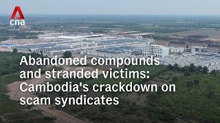 Abandoned compounds and stranded victims: Cambodia's crackdown on scam syndicates