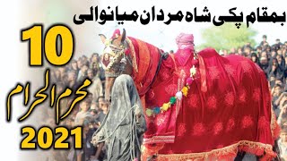 ZulJanah 10 Moharam 2021 Pakki Shah Mardan Mianwali | Zuljana | Matam | Muharam | Karbala