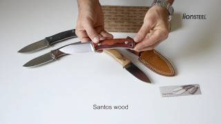 Official M4 LionSteel video