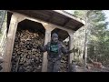 managing my forest for firewood