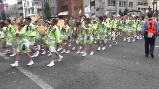 藤崎八旛宮秋季例大祭2014（熊本の祭り）なみあし會