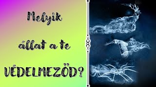 Kvíz: Melyik állat a te VÉDELMEZŐD? | 18+1 kérdés