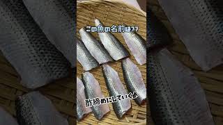 お魚クイズ💁‍♂️