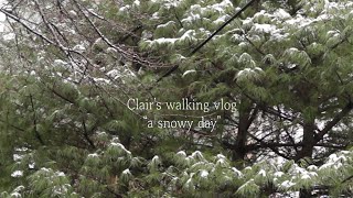 서울첫눈 내리는 날 일상 산책 브이로그(feat.겨울여행 추억여행) Seoul's first snowy day Vlog (feat. Memories of Winter Travel)